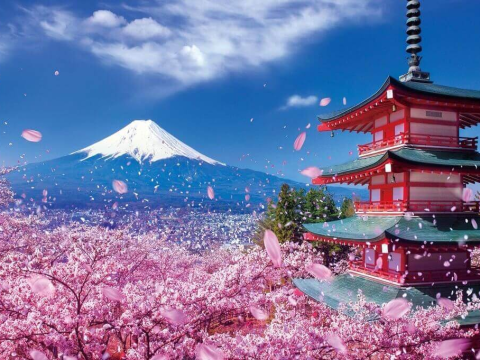 TOUR NHẬT BẢN - TOKYO - FUJI
