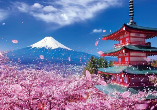 TOUR NHẬT BẢN - TOKYO - FUJI