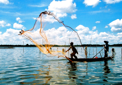 DISCOVER CA MAU | 3D2N | FROM HO CHI MINH CITY