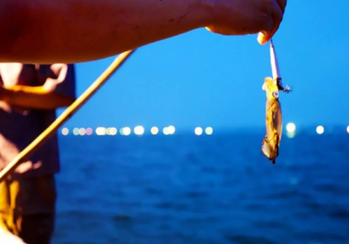 NHA TRANG NIGHT SQUID FISHING TOUR 
