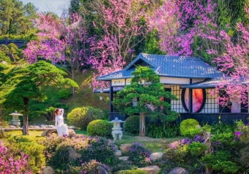 TOUR ĐÀ LẠT 3 NGÀY 3 ĐÊM KHỞI HÀNH TỪ CẦN THƠ BẰNG XE GIƯỜNG NẰM 