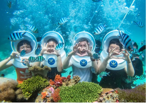 CHAM ISLANDS SEA WALKING EXPERIENCE | 1 DAY