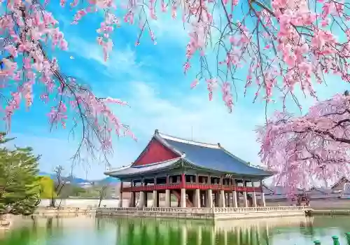 TOUR HÀN QUỐC:  BUSAN -  SEOUL –  ĐẢO NAMI 6 NGÀY 5 ĐÊM KHỞI HÀNH TỪ HÀ NỘI 