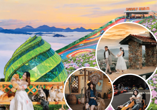 TOUR ĐÀ LẠT 3 NGÀY 3 ĐÊM 