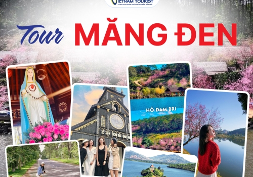 Tour Măng Đen 2 ngày 1 đêm đi bằng máy bay khởi hành từ TP.HCM