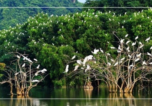 BEN TRE – COCONUT KINGDOM DAY TOUR