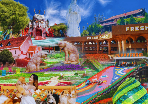 TOUR ĐÀ LẠT 3 NGÀY 3 ĐÊM