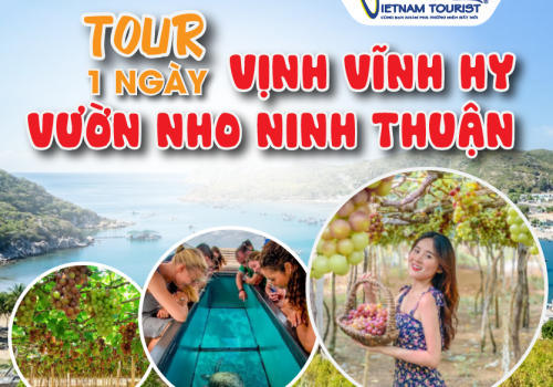 TOUR VỊNH VĨNH HY – VƯỜN NHO NINH THUẬN 1 NGÀY