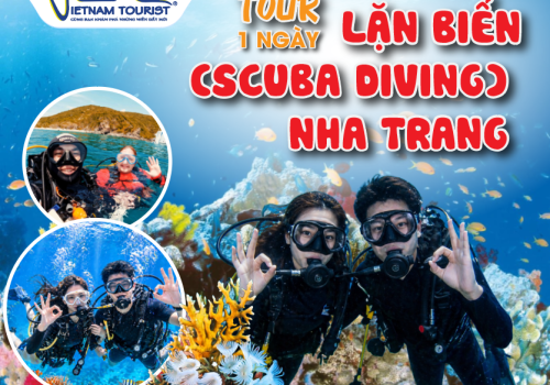TOUR LẶN BIỂN (SCUBA DIVING) NHA TRANG 1 NGÀY