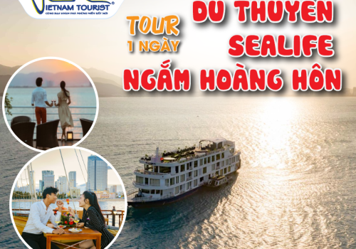 TOUR DU THUYỀN SEALIFE NGẮM HOÀNG HÔN