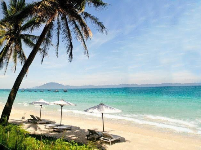 Vietnam Tourist Tân Bình