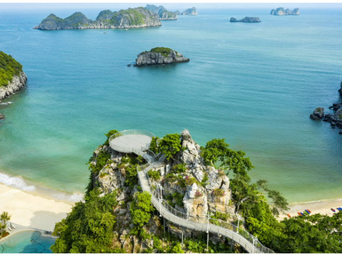 Vietnam Tourist Tân Bình