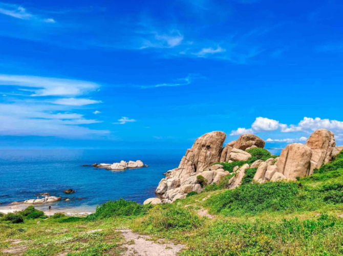 Vietnam Tourist Tân Bình