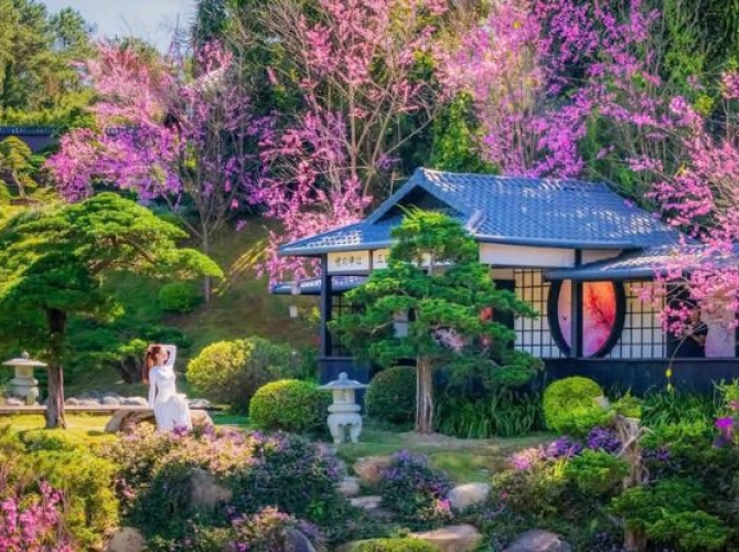 Vietnam Tourist Tân Bình