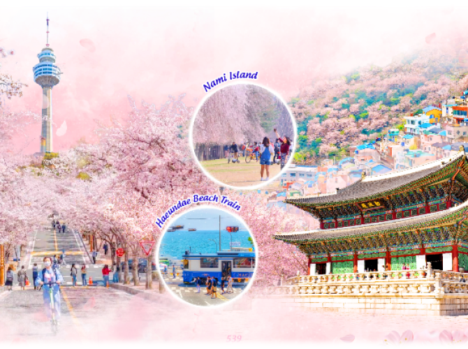 Vietnam Tourist Tân Bình