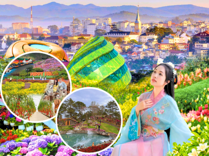 Vietnam Tourist Tân Bình