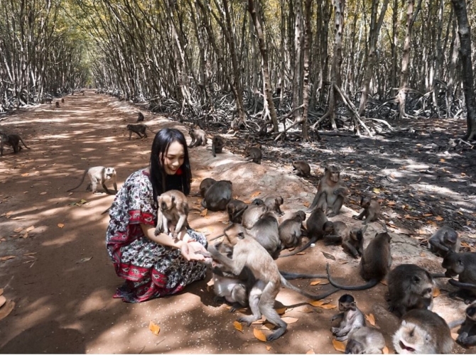 Vietnam Tourist Tân Bình
