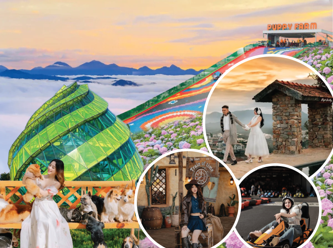 Vietnam Tourist Tân Bình