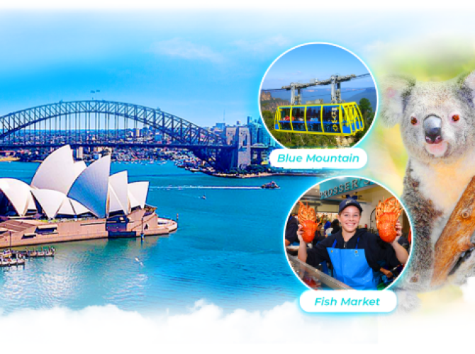 Vietnam Tourist Tân Bình