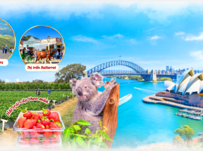 Vietnam Tourist Tân Bình