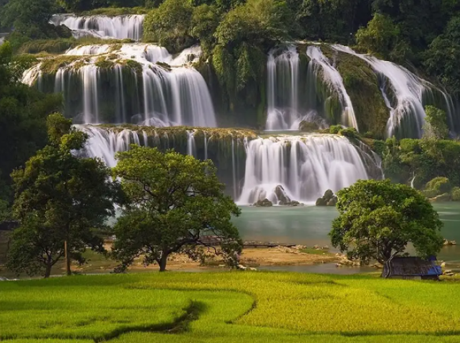 Vietnam Tourist Tân Bình