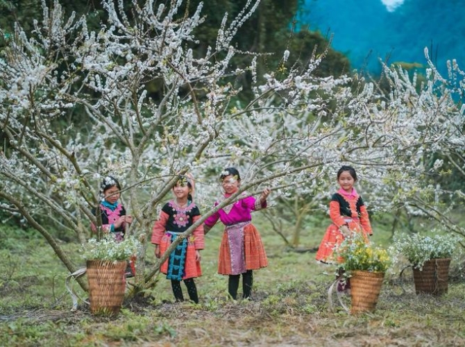 Vietnam Tourist Tân Bình