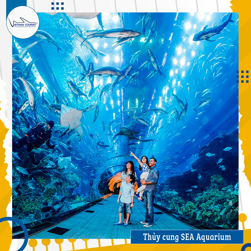 thuy cung sea aquarium