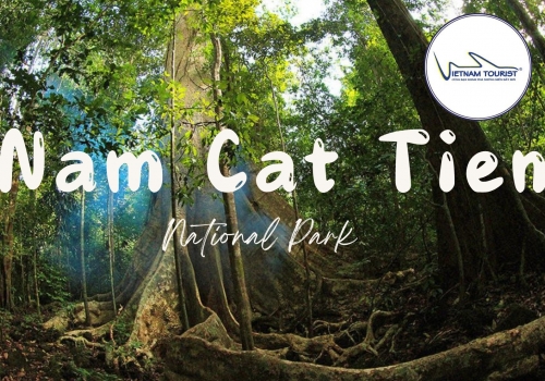 Tour Nam Cát Tiên 2 ngày 1 đêm khởi hành từ Thành phố Hồ Chí Minh