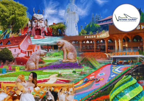 TOUR ĐÀ LẠT 3 NGÀY 3 ĐÊM